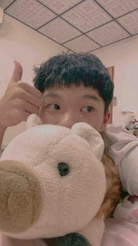 提供apex服務的專家李元蓁