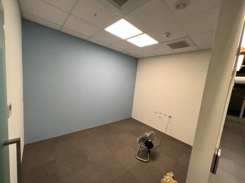 小卷油漆防水工作室 - 商務辦公室牆面跳色羊毛刷細刷後細磨至無痕