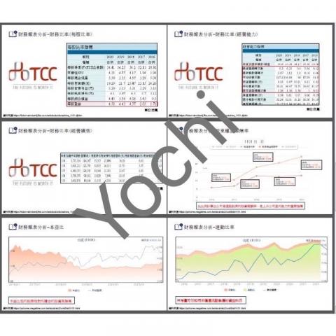 YOCHI - 財報範例 YOCHI - 財報範例