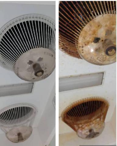 安立清潔團隊 - 入住清潔