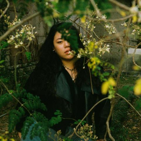 提供dji空拍服務的專家Terri