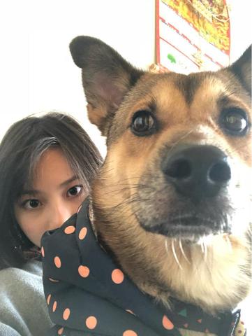 💮專業寵物保姆〰️CHRIS菀💠 - 