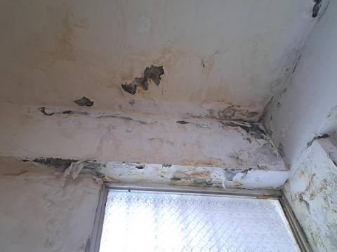 竣鼎防水抓漏工程行 - 壁癌