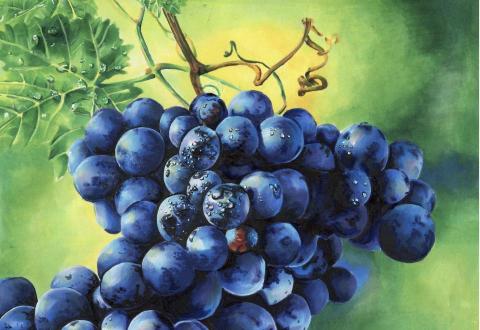 劉佳蓉 - 手繪（麥克筆）