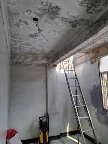 竣鼎防水抓漏工程行 - 壁癌