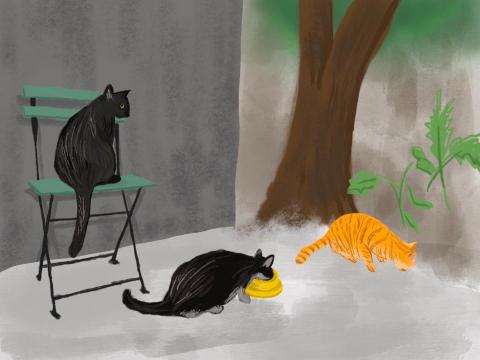 YvonneC - 風景插畫