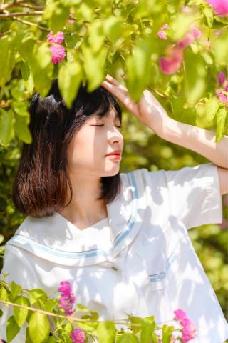 攝相豬 -  攝相豬 -