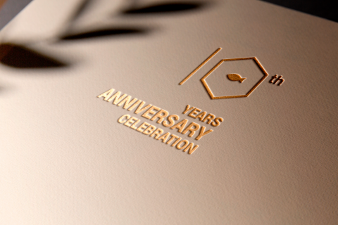 Kidult  Hsieh - 上海洋琪食品 |  成立10週年活動VI設計