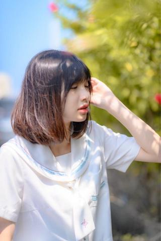 攝相豬 -  攝相豬 -
