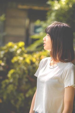 攝相豬 -  攝相豬 -