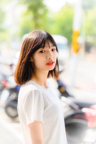 攝相豬 -  攝相豬 -