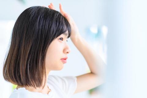 攝相豬 -  攝相豬 -