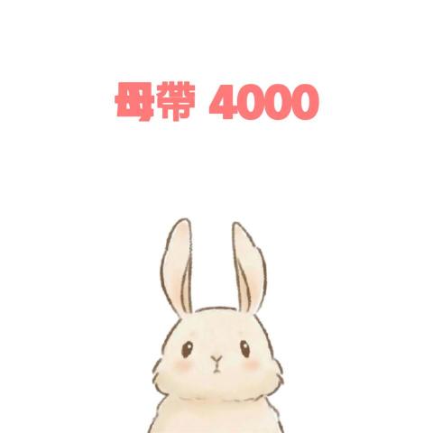 荷歐波諾波諾藝術工作室 - 母帶處理費用