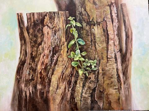 沛沛老師（陳老師） - 油畫作品