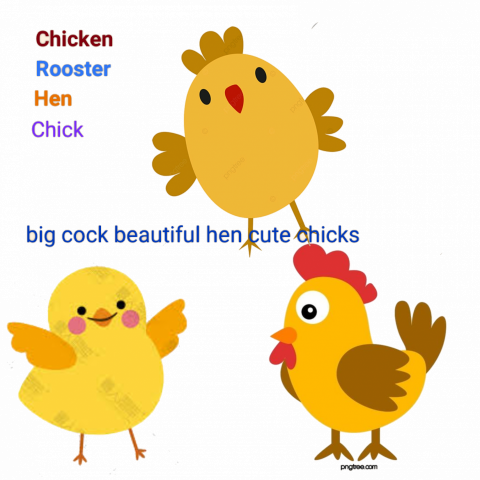 禾個人工作室 - 如同小的生命中所要注意的是。