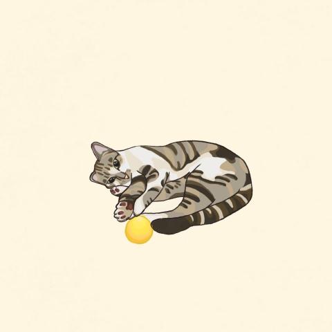 豉油辣椒醬 - 貓