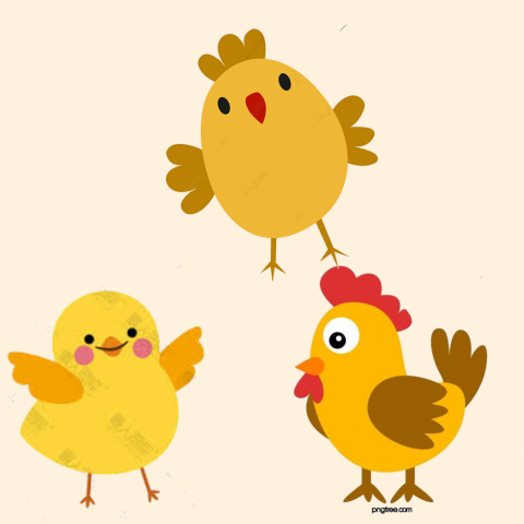 林禾 - 雞不可失