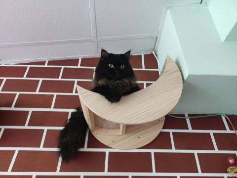 安亦企業行(室內空間設計/裝潢) -  安亦企業行(室內空間設計/裝潢) -