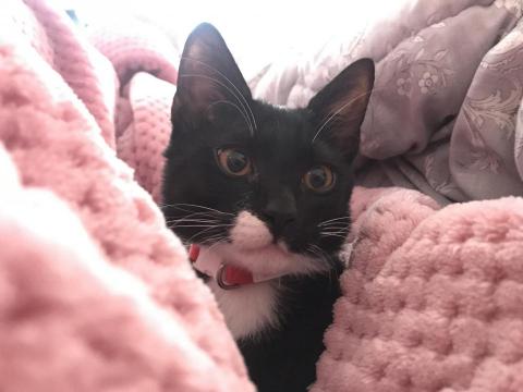 Tess - 照顧過的小男孩  呀米小時候