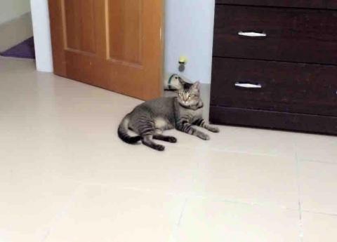 提供民宿包棟服務的專家包滿意