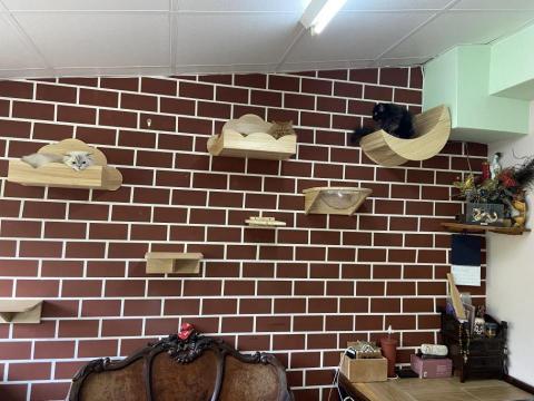 安亦企業行(室內空間設計/裝潢) -  安亦企業行(室內空間設計/裝潢) -