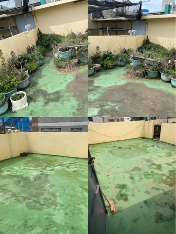 居家清潔 - 上是清潔前
下是清潔後