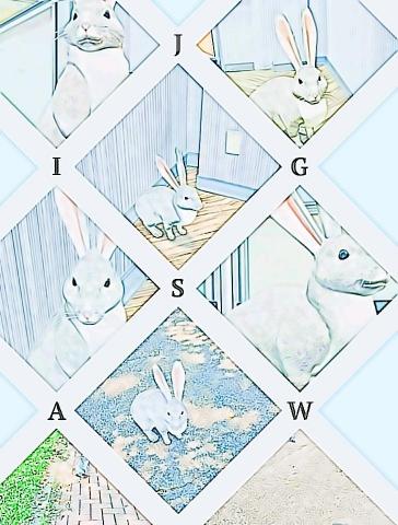 禾個人工作室 - looking for thinking 