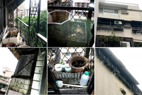 A+淘蟲師-正欣環衛 - 禽蟎防治/防鳥網安裝
台北溫州街某社區六樓長期遭受鳥害棲息困擾，屋主説每天夜至少有幾十隻野鴿在花台歇息築巢生蛋，除了忍受鴿糞惡臭及吵雜聲外，近期也被禽蟎叮咬全身，兒女都不敢回來住了，趕了十多年了什麼偏方也都試過一輪都沒用，近日才向本公司求援，希望能協助解決多年困擾。
經防治師場勘後，建議先進行全面消毒除蟎，將花台雜物、鳥糞清除乾淨，再全面安裝防鳥網阻絶鳥類棲息築巢，徹底解決屋主多年困擾。
(圖為施工前照片)