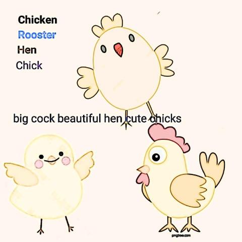禾個人工作室 - chicken and children 