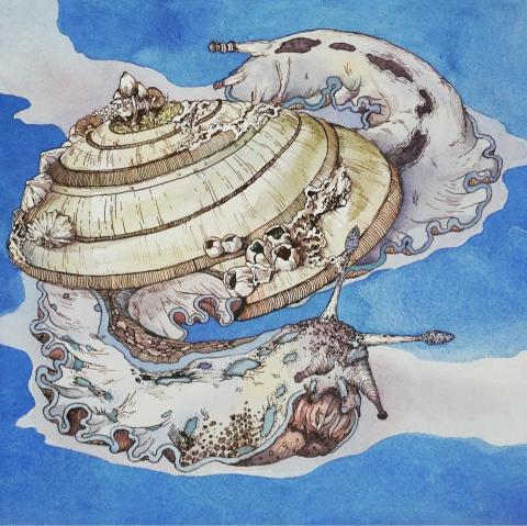 葉倢伃 - 兩極蝸牛_2019_水彩、墨水
