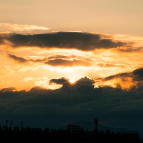 提供咖啡師parttime服務的專家Alex