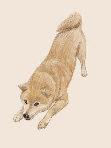 YvonneC - 色鉛筆手繪