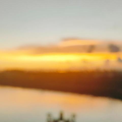 提供打字員服務的專家雨嫣