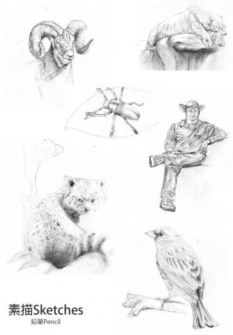 浣熊與波 - 美術作品-素描 浣熊與波 - 美術作品-素描