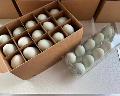 霖瑄叡企業社 - 初生鹹卵（售價公佈於LINE官方）