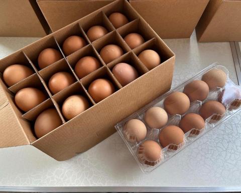 霖瑄叡企業社 -  初生紅卵（售價公佈於LINE官方）