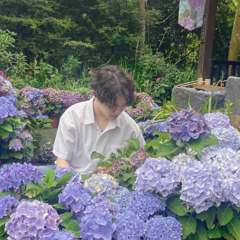 提供受眾包服務的專家家教