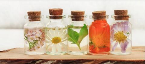 江蓁棋到府按摩服務 - 天然按摩精油