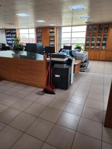 小菲 - 辦公室清潔