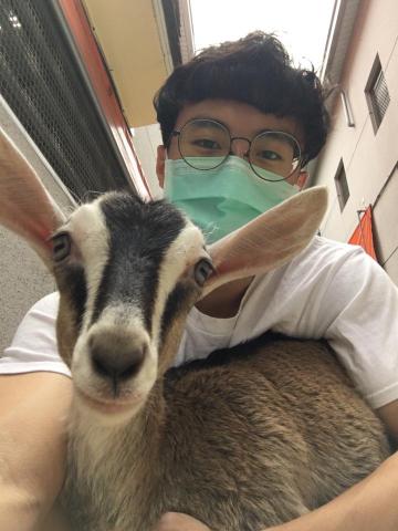 陳又羣 - 學校裡在牧場工作的小羊