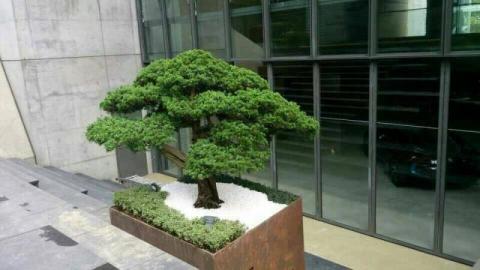 德村室內裝修工程 - 