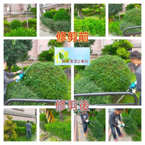 勤侑清潔企業社 - 園藝修剪