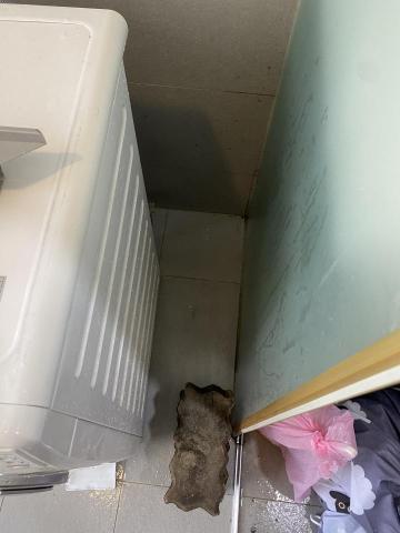 苰妤廖 - 清潔後