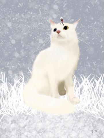 y.c studio - 寵物貓插畫