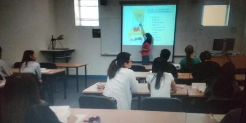 Cindy Saito - 課堂(成人日語課)