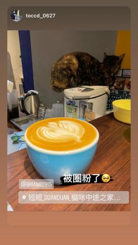 Brian的咖啡拉花學院 - 客戶來貓咪咖啡廳，限動打卡