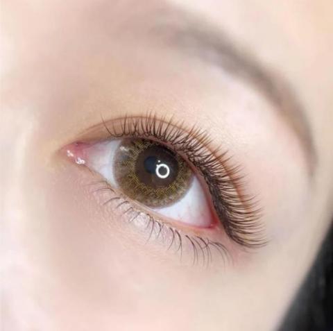 cathy onni eyelash(美睫) - 自然咖色款+下睫毛