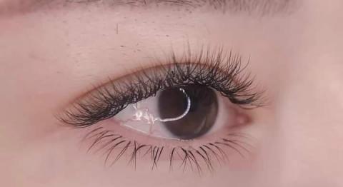 cathy onni eyelash(美睫) - 