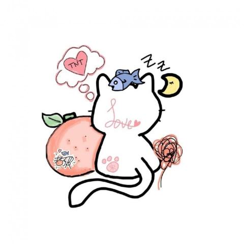 提供插畫家服務的專家橘子皮