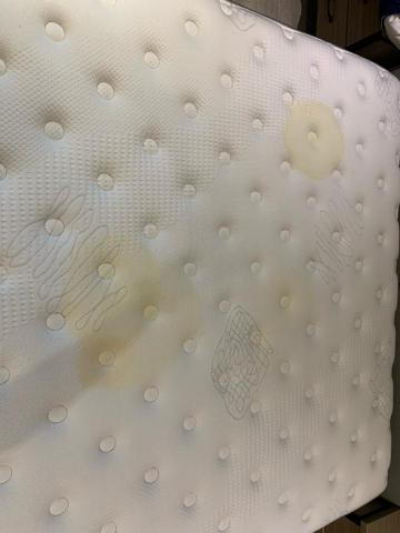 蟎-MAN 洗床墊洗沙發 - 